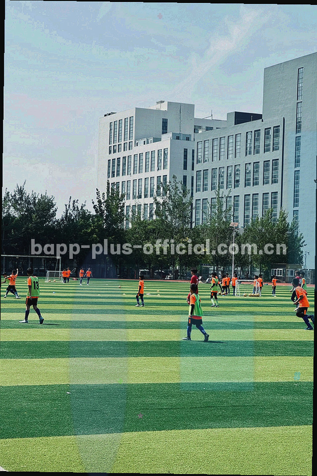 手机界面示意，显示战报收藏按钮与个人中心的收藏列表
